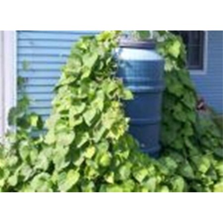 Upcycle Products Plastic Barrel Netting PBN